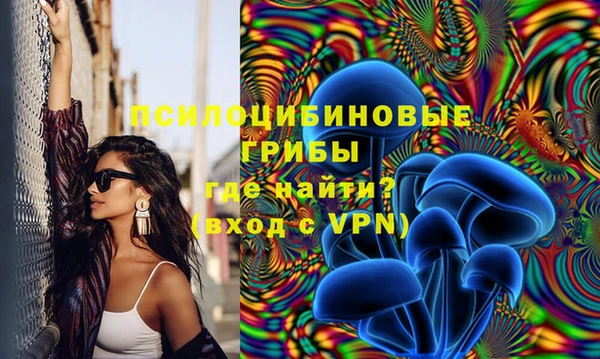 крисы Володарск