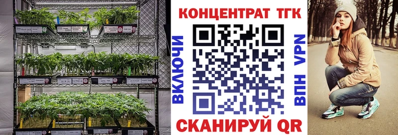 Купить закладки Магадан ТГК вейп с тгк
