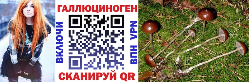 Псилоцибиновые грибы Magic Shrooms  Купить  Магадан 